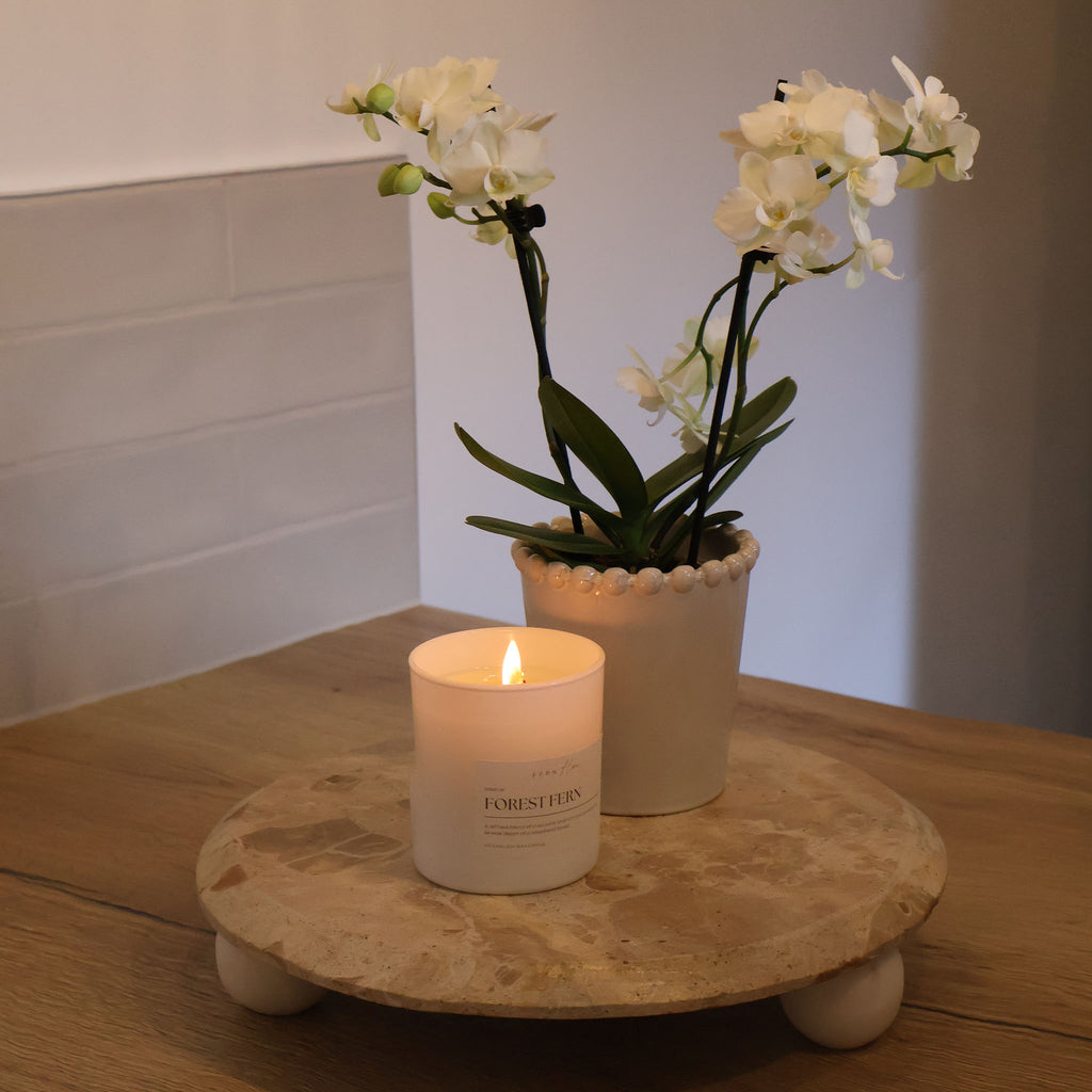 Candle and potted orchid on a marble riser  in a kitchen setting